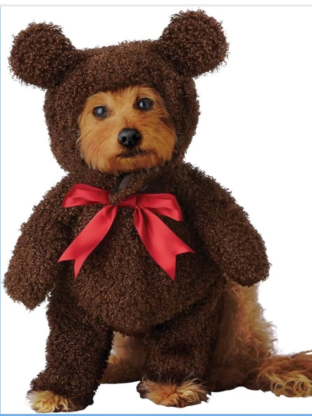 Brown Teddy Bear Dog Costume with Red Bow